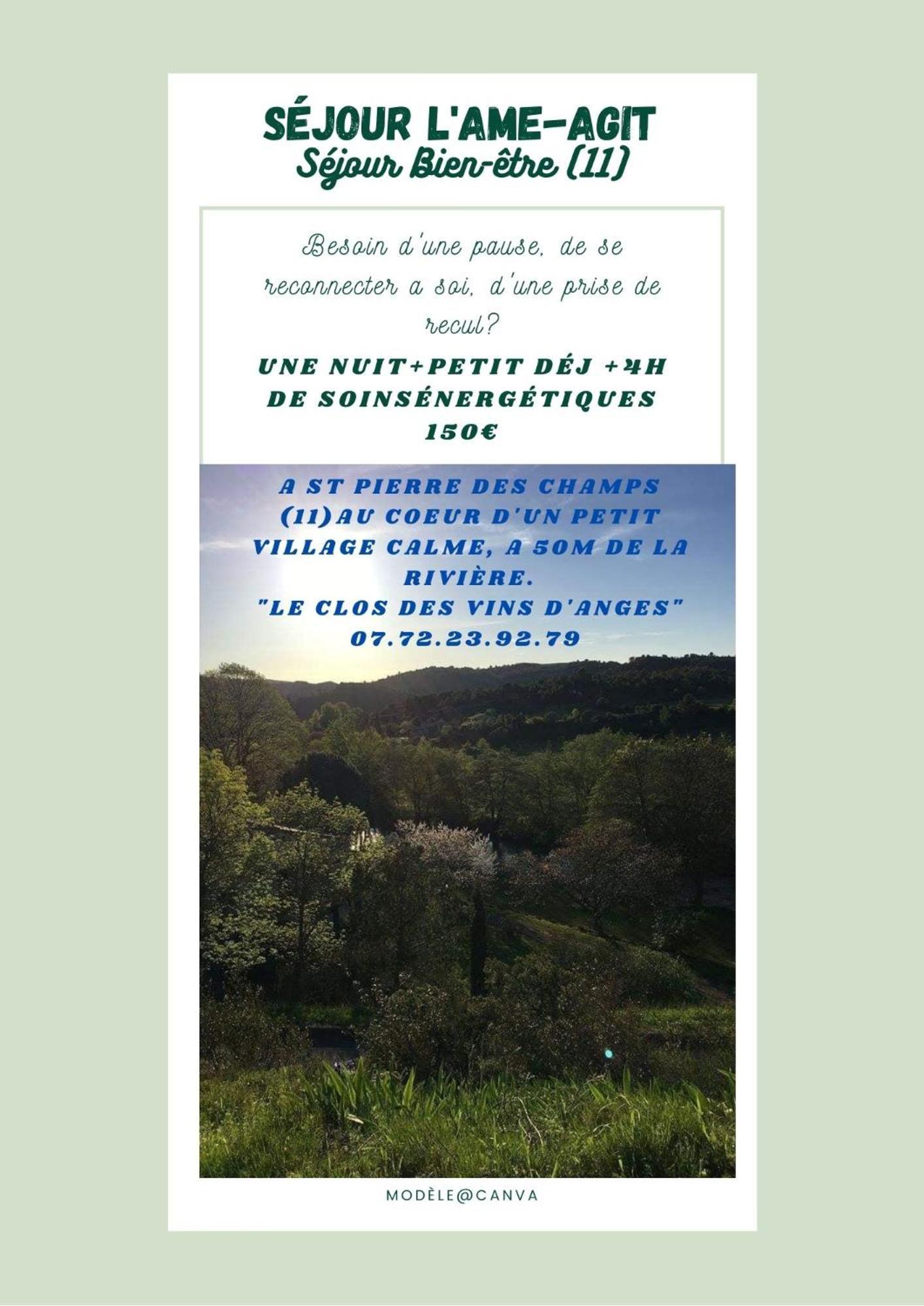 Chambre D'Hote Au Jardin Le Clos Des Vins D'Anges Saint-Pierre-des-Champs Bagian luar foto
