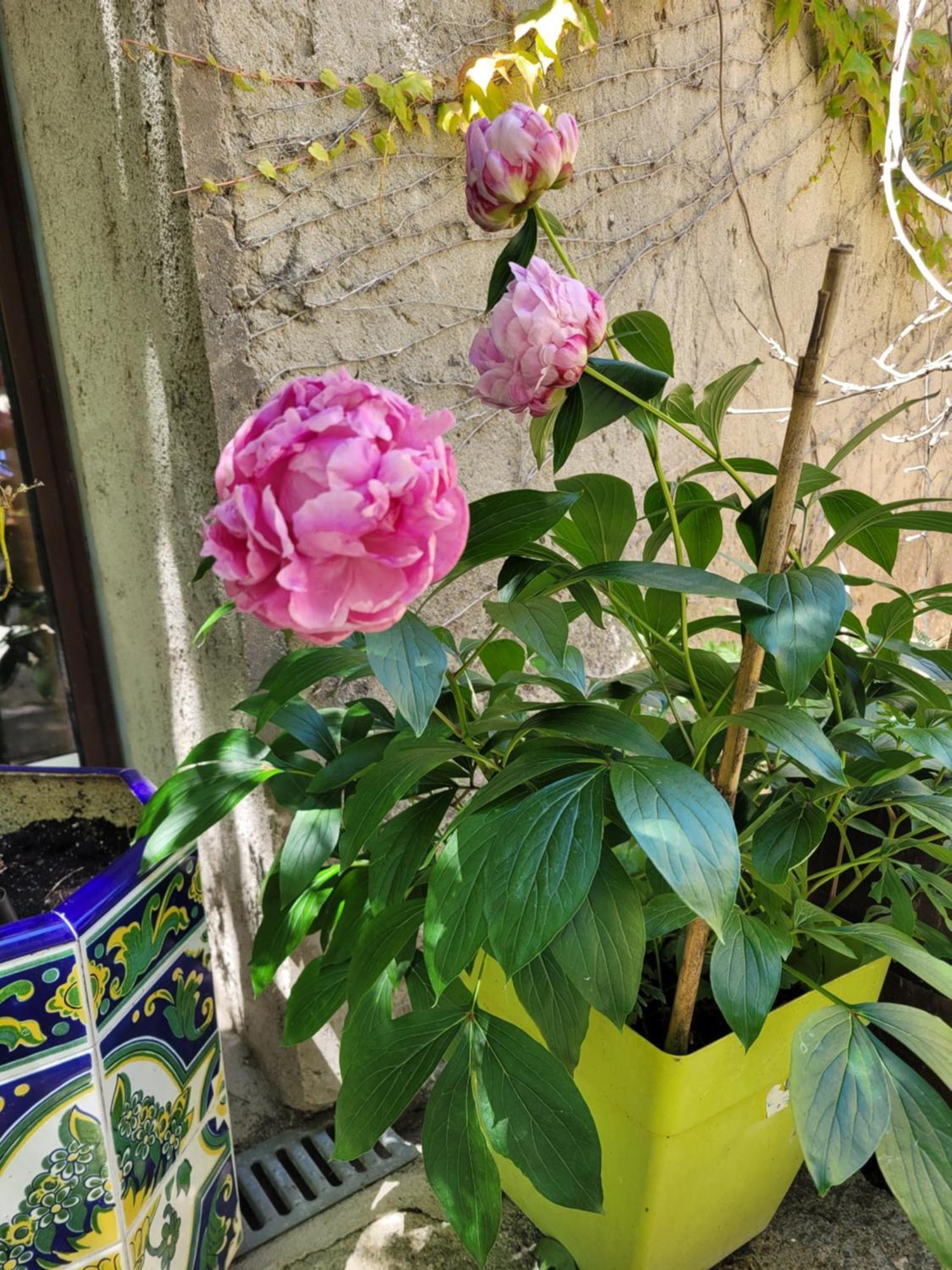 Chambre D'Hote Au Jardin Le Clos Des Vins D'Anges Saint-Pierre-des-Champs Bagian luar foto